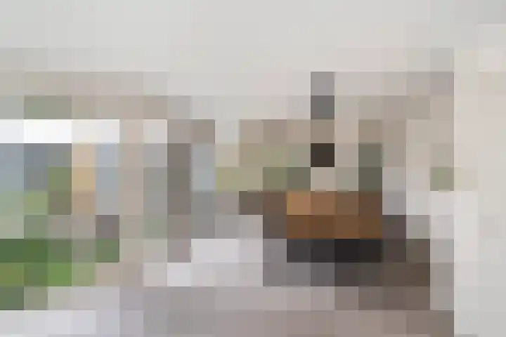 Wagnerlaan 4 Waddinxveen thumbnail 13