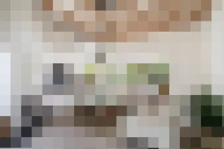 Wagnerlaan 4 Waddinxveen thumbnail 14
