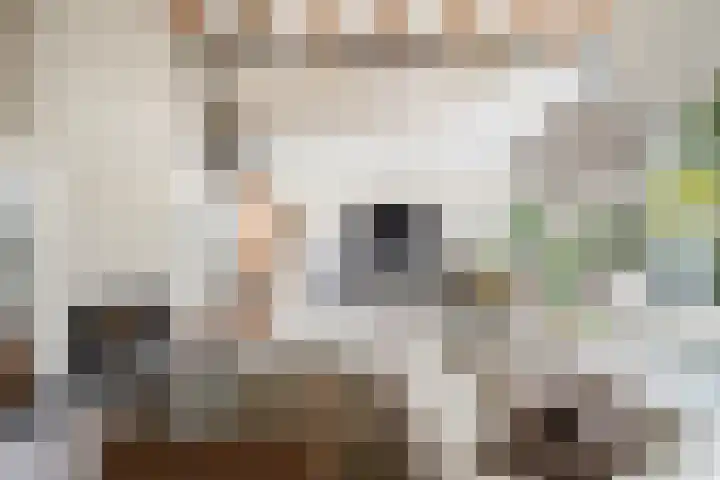 Wagnerlaan 4 Waddinxveen thumbnail 16