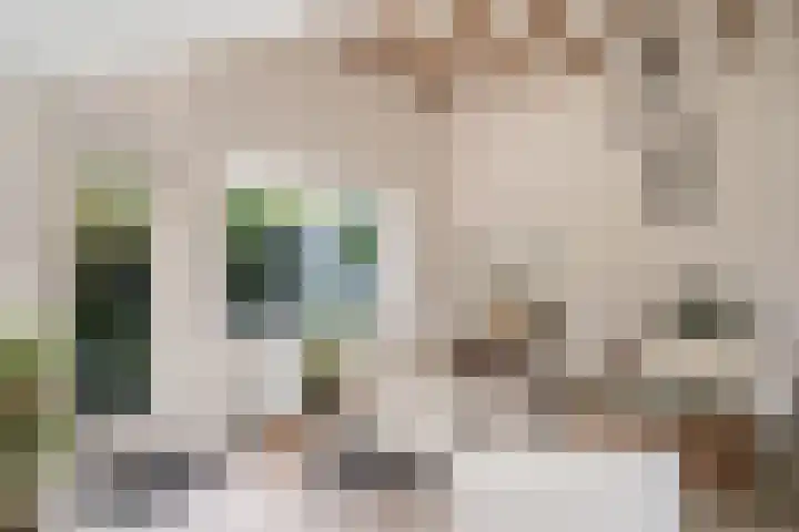 Wagnerlaan 4 Waddinxveen thumbnail 18