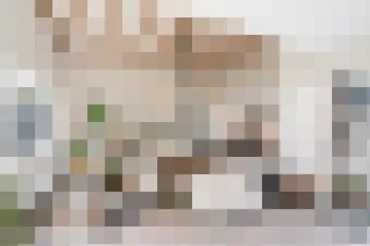 Wagnerlaan 4 Waddinxveen thumbnail 19