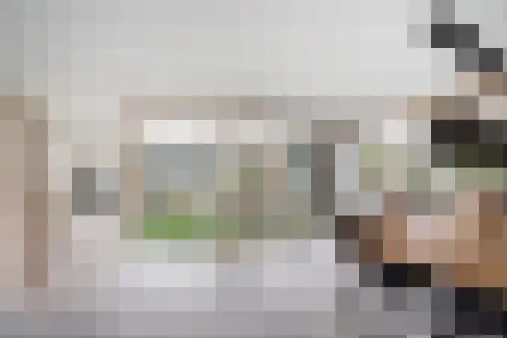 Wagnerlaan 4 Waddinxveen thumbnail 20