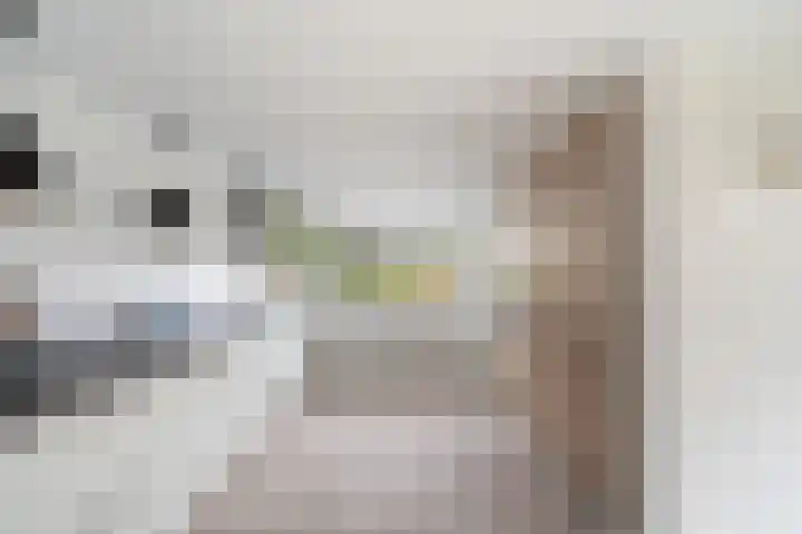 Wagnerlaan 4 Waddinxveen thumbnail 22