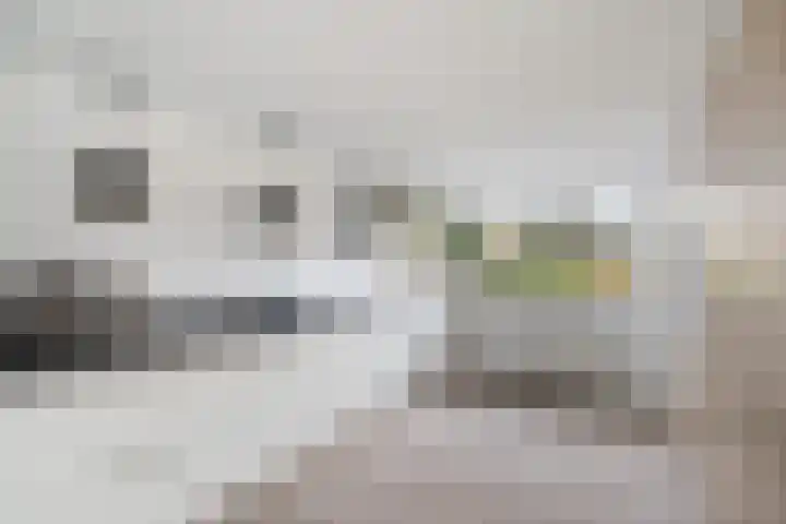 Wagnerlaan 4 Waddinxveen thumbnail 23