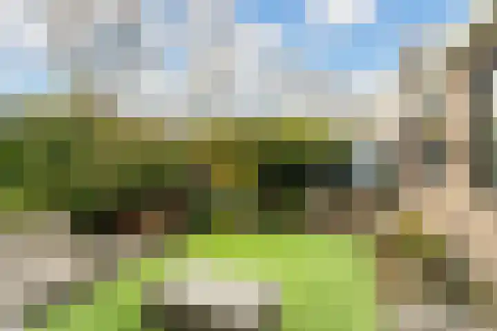 Wagnerlaan 4 Waddinxveen thumbnail 27