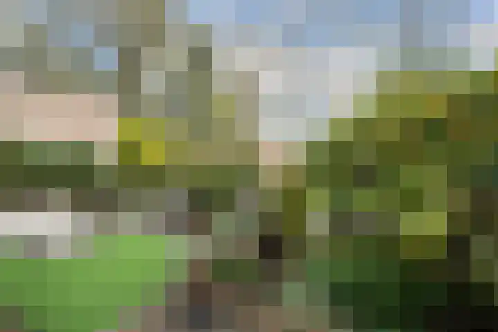 Wagnerlaan 4 Waddinxveen thumbnail 39