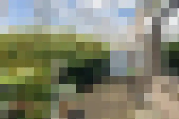 Wagnerlaan 4 Waddinxveen thumbnail 41