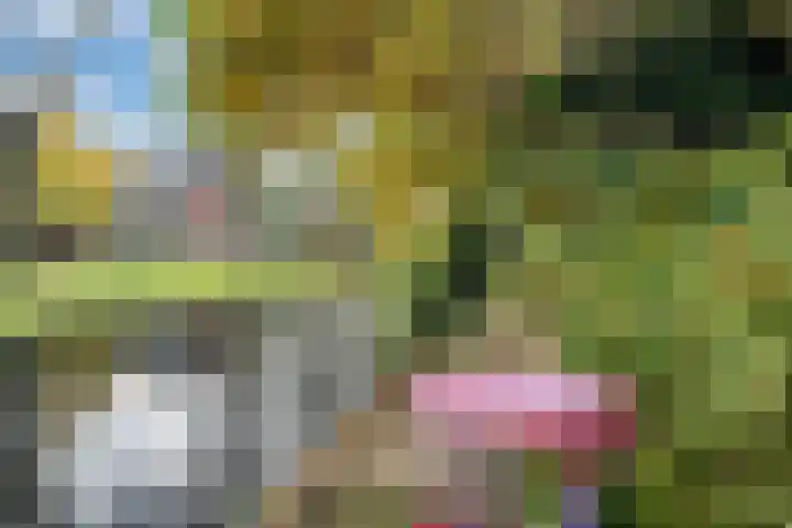Wagnerlaan 4 Waddinxveen thumbnail 42