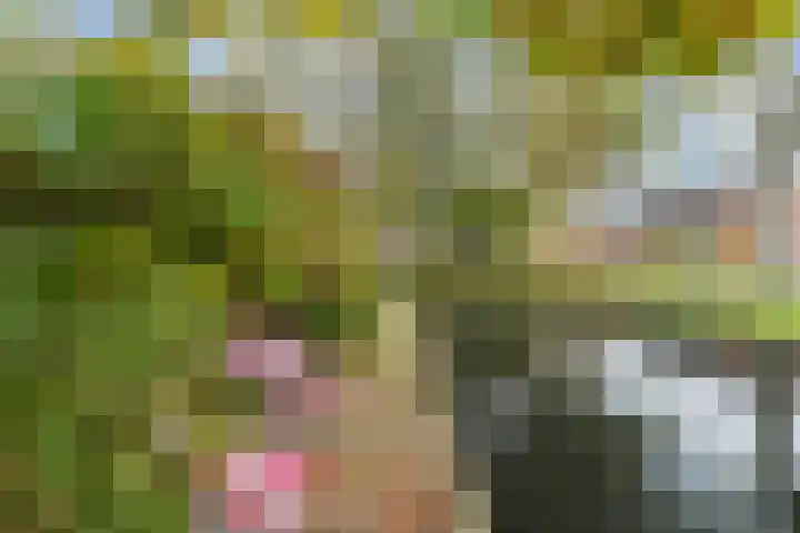 Wagnerlaan 4 Waddinxveen thumbnail 43