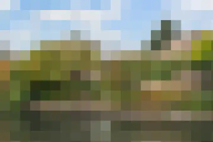 Wagnerlaan 4 Waddinxveen thumbnail 46