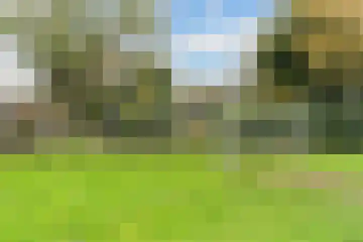 Wagnerlaan 4 Waddinxveen thumbnail 49