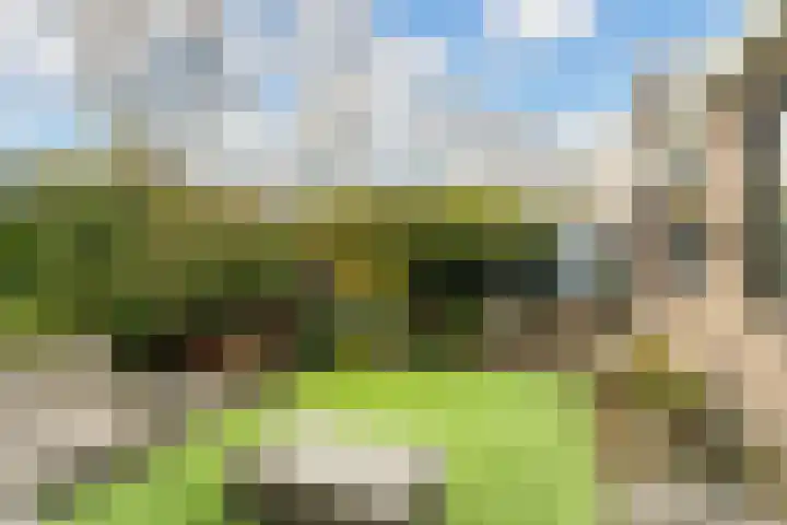 Wagnerlaan 4 Waddinxveen thumbnail 5