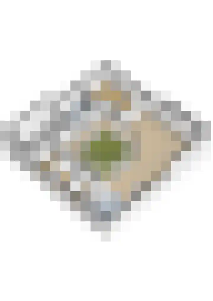 Wagnerlaan 4 Waddinxveen thumbnail 52