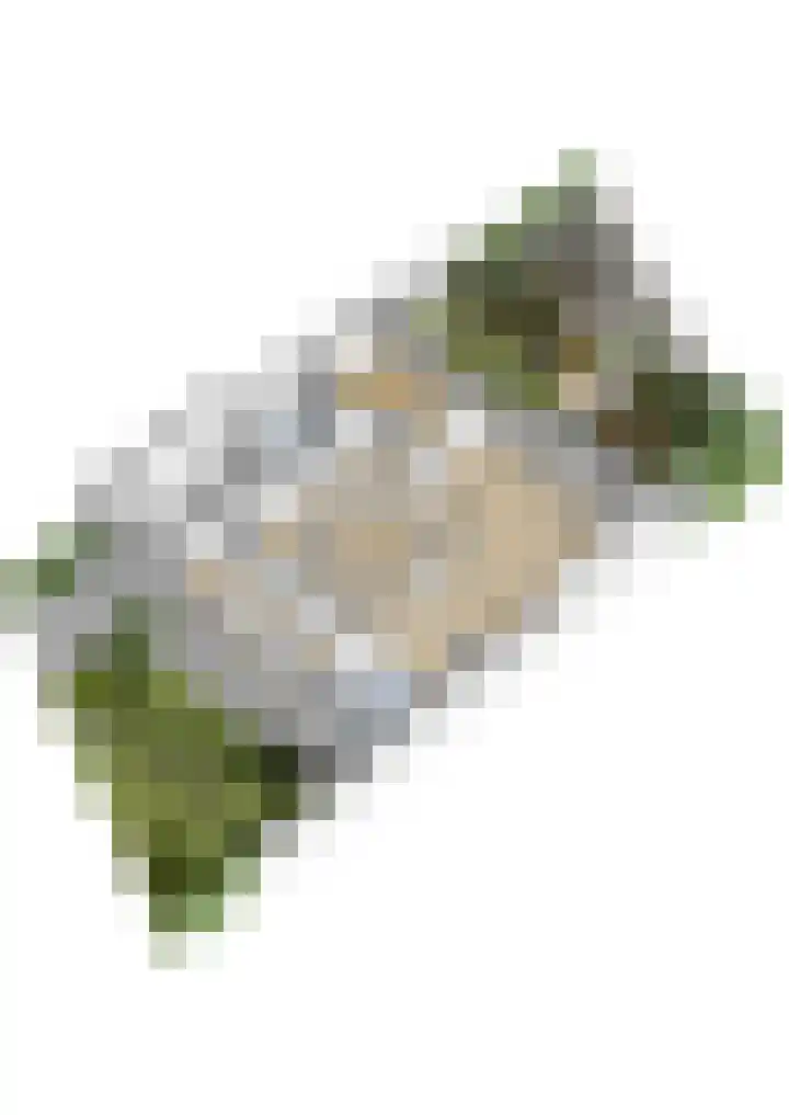 Wagnerlaan 4 Waddinxveen thumbnail 53