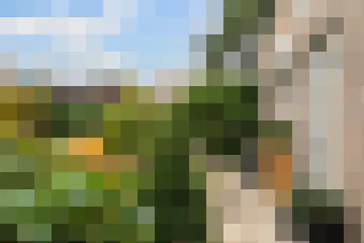 Wagnerlaan 4 Waddinxveen thumbnail 9