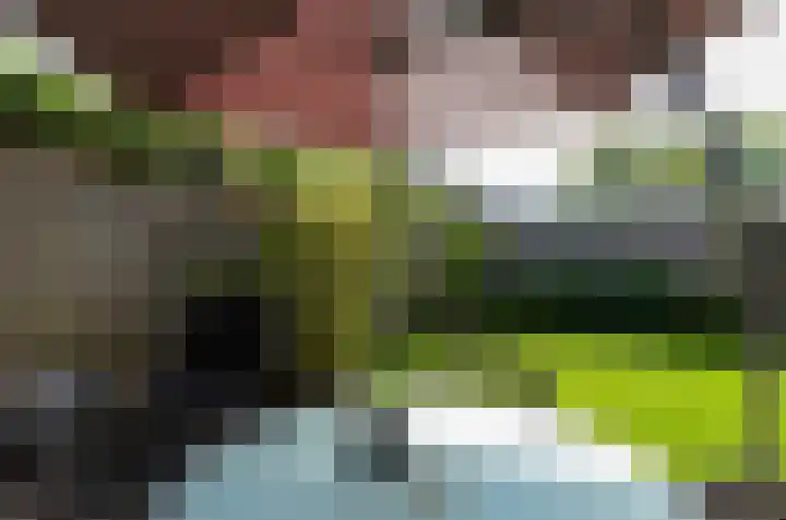 Wagnerlaan 41 Assen thumbnail 26