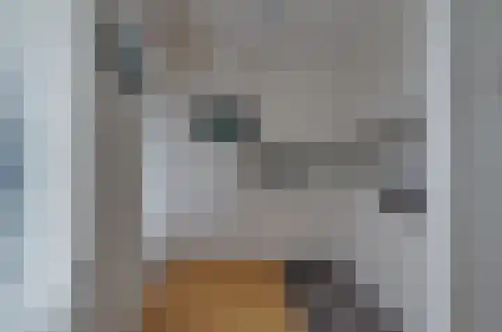 Wagnerlaan 41 Assen thumbnail 8