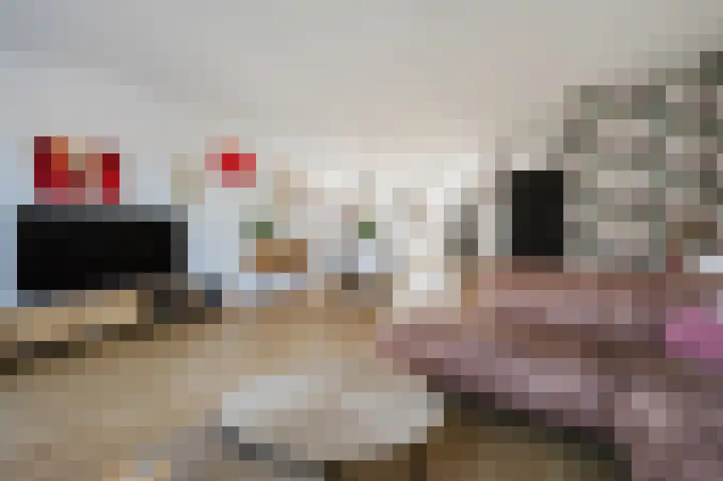 Wagnerlaan 43 Spijkenisse thumbnail 14