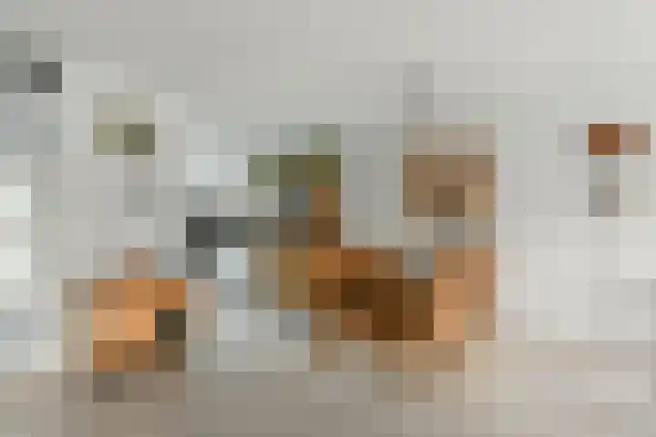 Wagnerlaan 51 Nieuw-Vennep thumbnail 10