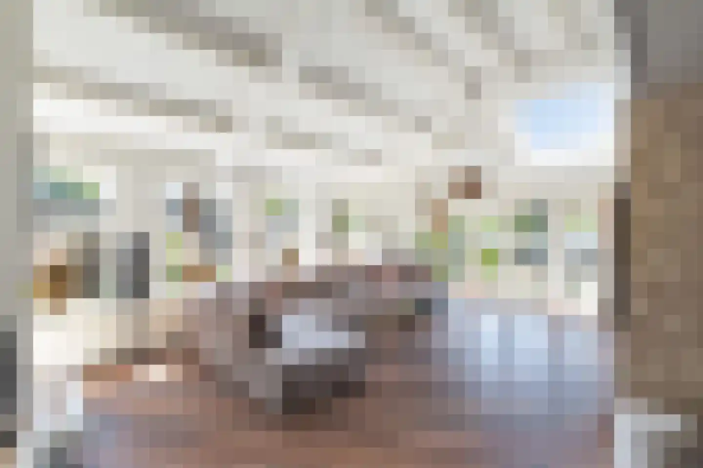 Wagnerlaan 7 Waddinxveen thumbnail 19