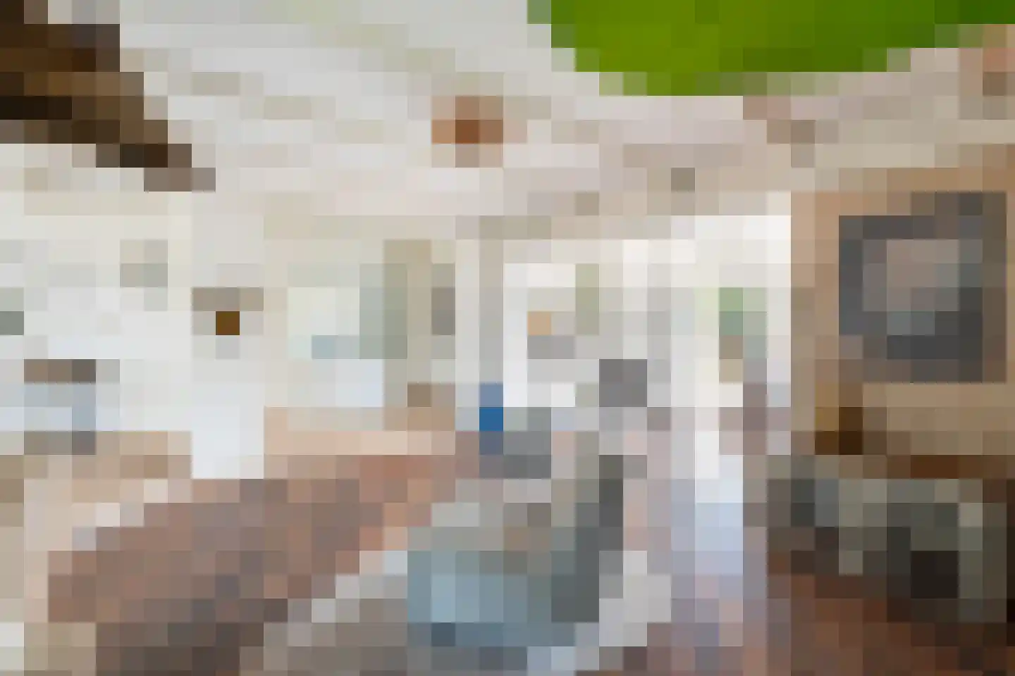Wagnerlaan 7 Waddinxveen thumbnail 27