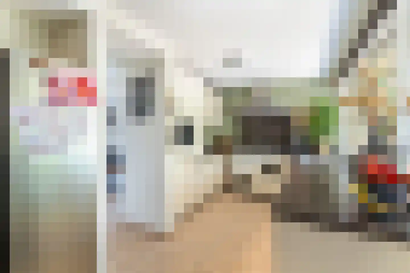 Wagnerlaan 7 Waddinxveen thumbnail 36