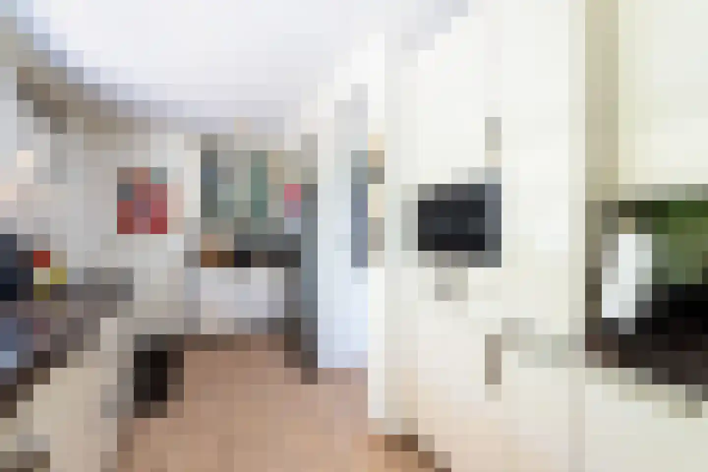 Wagnerlaan 7 Waddinxveen thumbnail 38