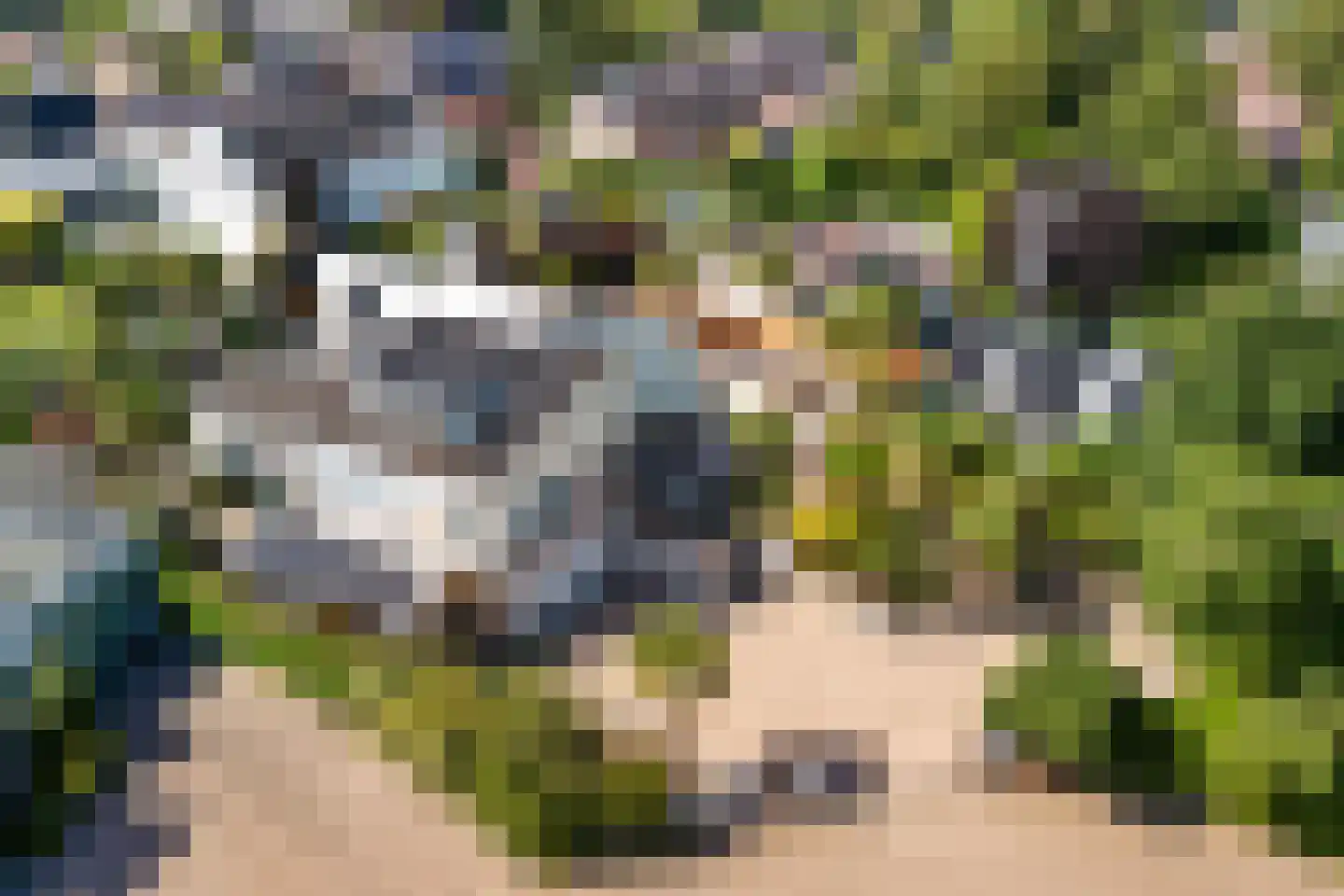 Wagnerlaan 7 Waddinxveen thumbnail 5