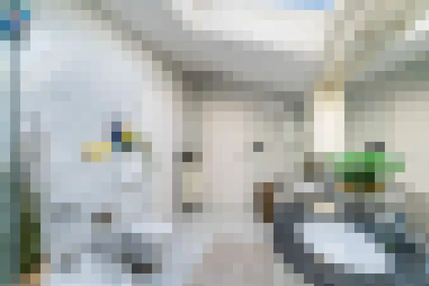 Wagnerlaan 7 Waddinxveen thumbnail 72