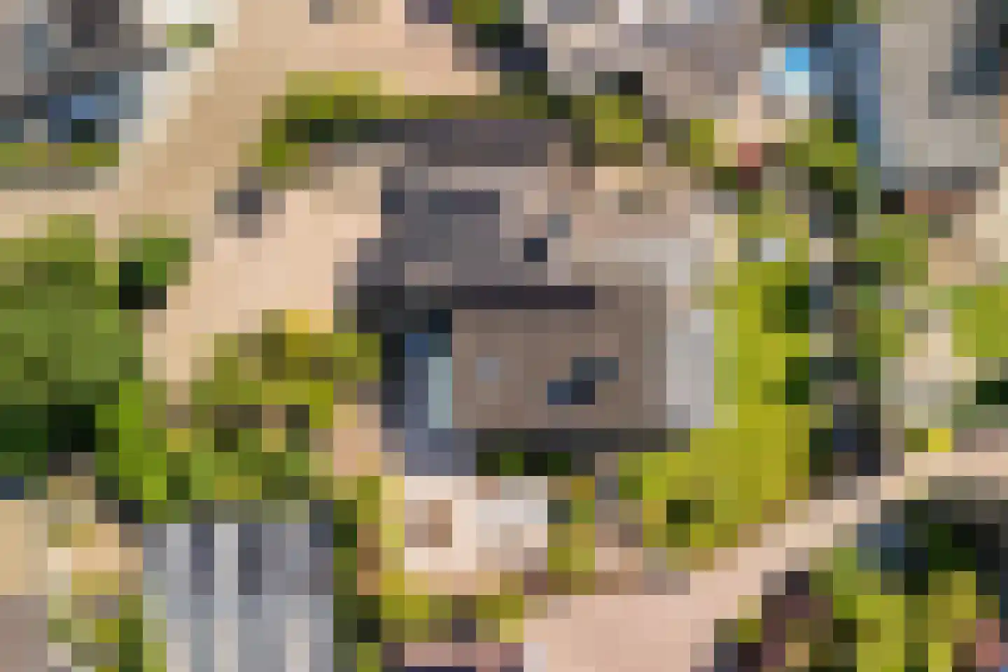 Wagnerlaan 7 Waddinxveen thumbnail 78