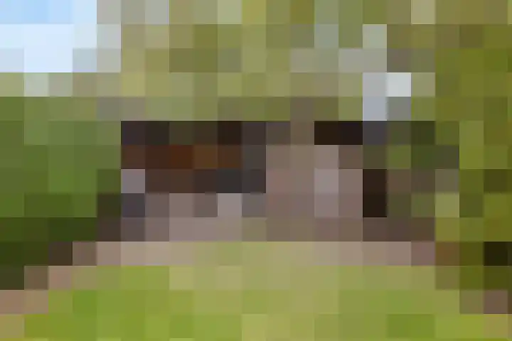 Wagnerlaan 8 Naarden thumbnail 42