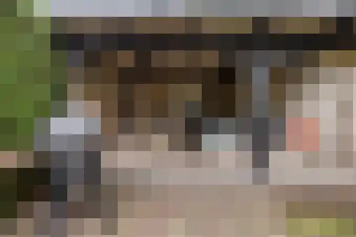 Wagnerlaan 8 Naarden thumbnail 45