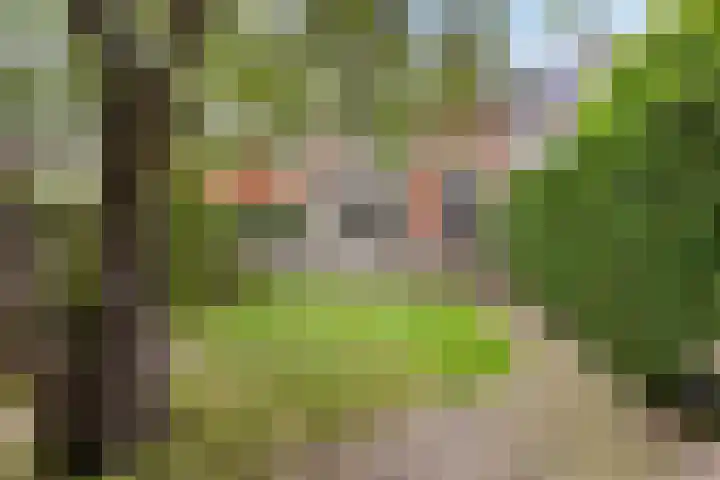 Wagnerlaan 8 Naarden thumbnail 49