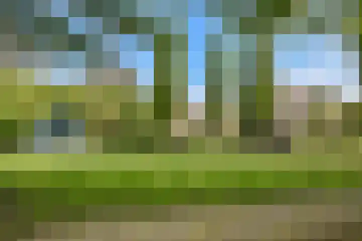 Wagnerplein 108 Leiden thumbnail 24