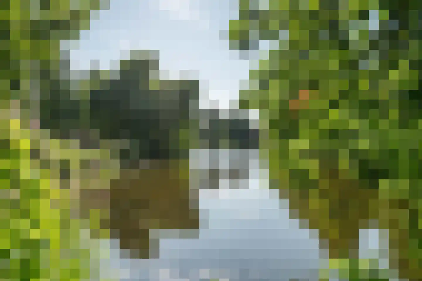 Wagnerplein 20 Leiden thumbnail 37