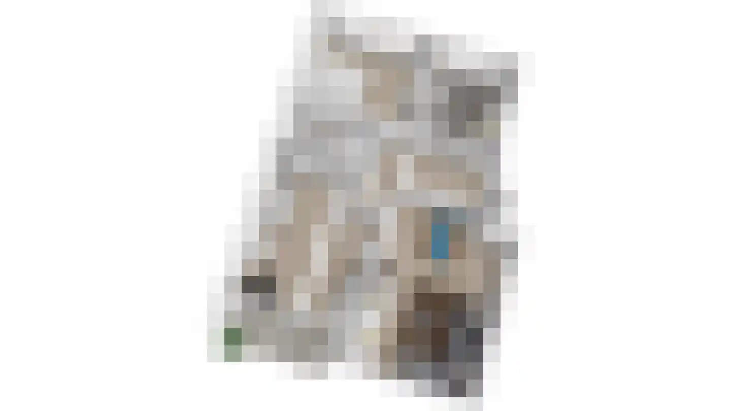 Wagnerplein 20 Leiden thumbnail 41