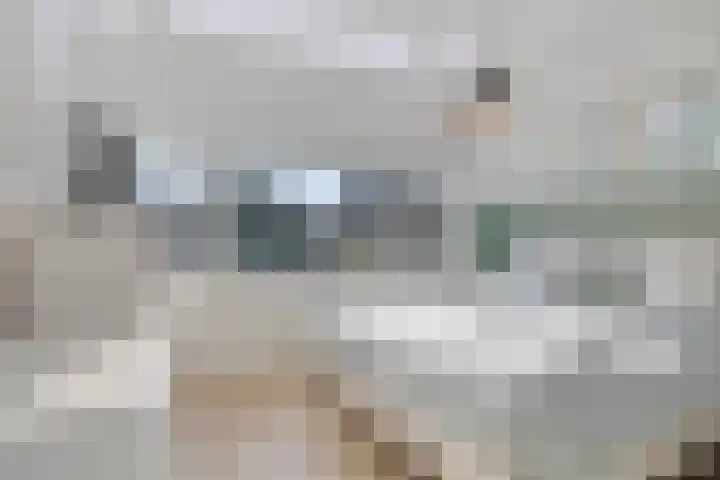 Wagnerplein 26 Heesch thumbnail 20