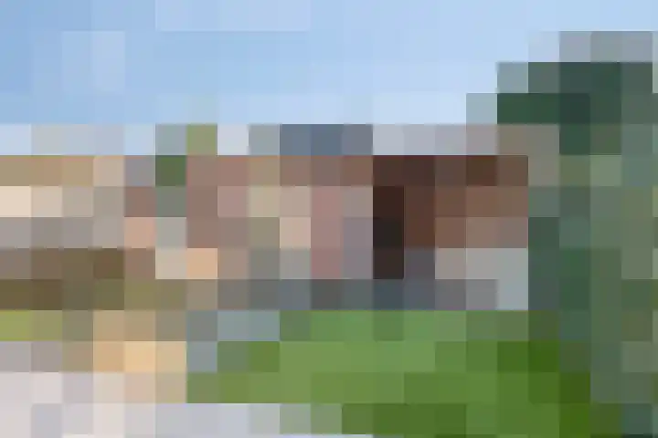 Wagnerplein 26 Heesch thumbnail 33