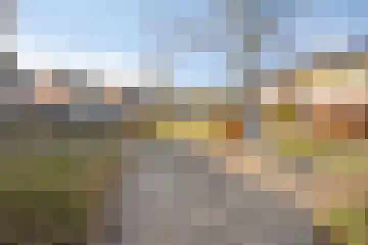 Wagnerplein 26 Heesch thumbnail 38