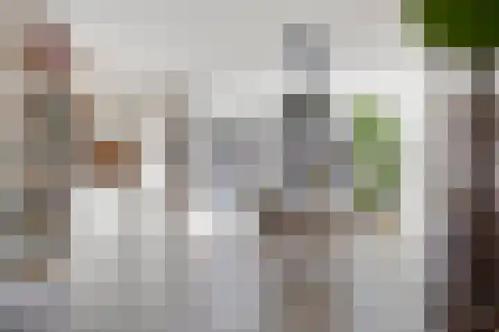 Wagnerplein 26 Heesch thumbnail 9