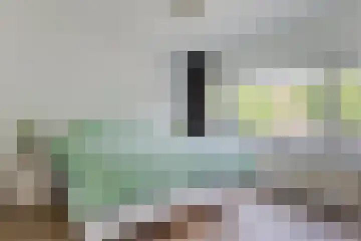 Wagnerplein 38 Heesch thumbnail 17