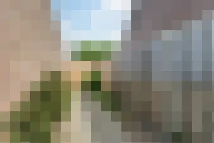 Wagnerplein 38 Heesch thumbnail 28