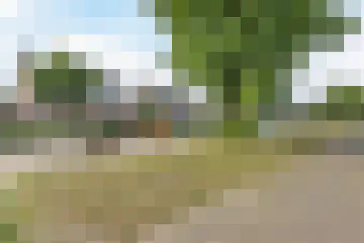Wagnerplein 38 Heesch thumbnail 29