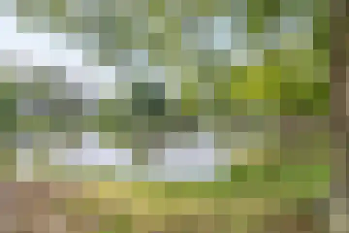 Wagnerplein 38 Heesch thumbnail 30