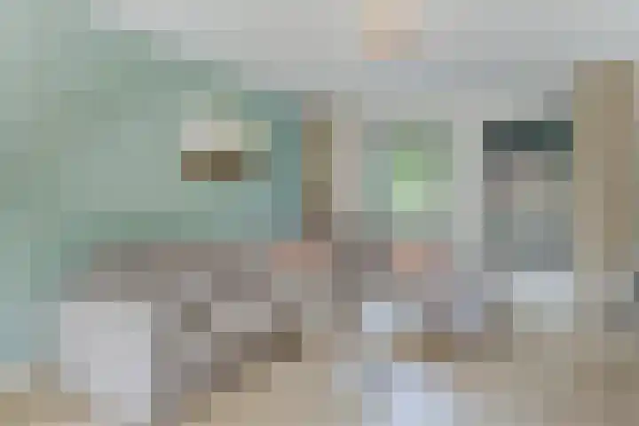 Wagnerplein 38 Heesch thumbnail 7