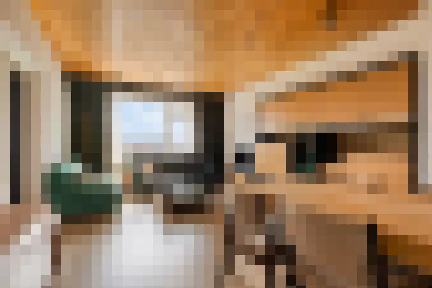 Wagnerplein 44 Leiden thumbnail 10
