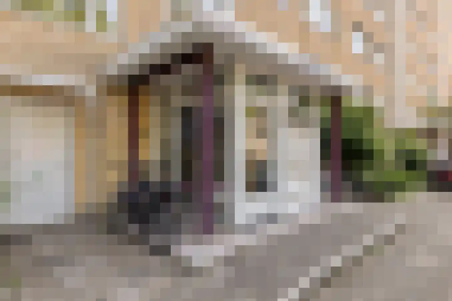 Wagnerplein 44 Leiden thumbnail 6