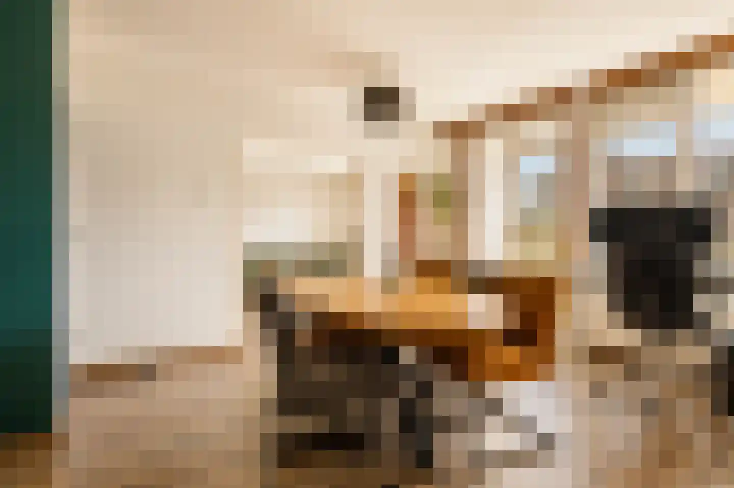 Wagnerplein 52 Leiden thumbnail 9