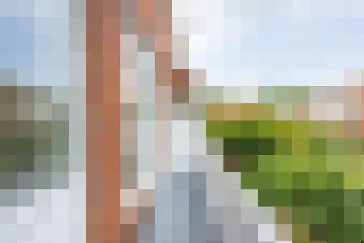 Wagnersingel 14 a Groningen thumbnail 4