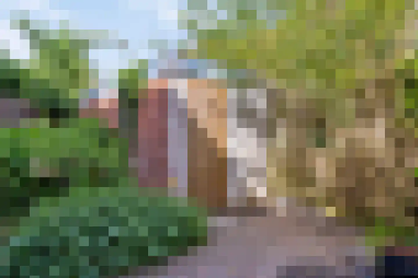 Wagnersingel 14 Groningen thumbnail 20